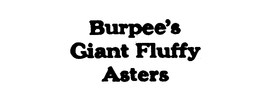 BURPEE'S GIANT FLUFFY ASTERS - official mark drawing from the USPTO record