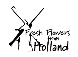 FRESH FLOWERS FROM HOLLAND - official mark drawing from the USPTO record