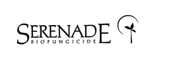 SERENADE BIOFUNGICIDE - official mark drawing from the USPTO record