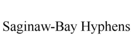 SAGINAW-BAY HYPHENS - official mark drawing from the USPTO record