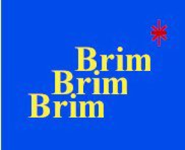 BRIM BRIM BRIM - official mark drawing from the USPTO record