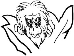 BABOON - official mark drawing from the USPTO record