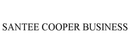 SANTEE COOPER BUSINESS - official mark drawing from the USPTO record