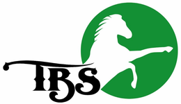 TBS - official mark drawing from the USPTO record