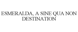 ESMERALDA, A SINE QUA NON DESTINATION - official mark drawing from the USPTO record