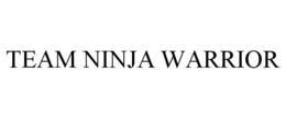 TEAM NINJA WARRIOR - official mark drawing from the USPTO record