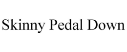 SKINNY PEDAL DOWN - official mark drawing from the USPTO record