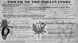 POWER TO THE POLLINATORS NATIVE AMERICAN INDIANS.. BEE DIE MAN HAS FOUR YEARS LEFT.. ALBERT EINSTEIN ECHOED THIS "WHEN THE HONEY BEES ARE THE WISDOM KEEPERS OF THE SOUTH, SUMMER IS THEIR SEASON INDIAN BEE GODDESS-BHRAMAN DEVI. GODDESS FREQUENTLY TURN INTO BEES TO WARD OFF DEMONS AND PURIFY THE LAND WHEN RA THE EGYPTIAN SUN GOD WEEPS, THE WATER WHICH FLOWS FROM HIS EYES TURNS INTO WORKING BEES. OUR SMALLEST TEACHERS OFFER US OUR MOST PROFOUND LESSONS THE HEXAGON SHAPE IS COSMIC HARMONY THESE GEOMETRIC STRUCTURES ARE HIGHLY ARCHETYPAL TO HUMAN CONSCIOUSNESS THE AVERAGE WORKER BEE WILL MAKE ONE 12TH OF A TEASPOON OF HONEY BEE HUMMING WAS EMULATED IN VECTIC CHANTS EGYPTIANS WERE BURIED WITH THEIR HONEY HONEY BEE ALCHOMIZES THE ELEMENT OF FIRE FROM THE SUN INTO THE SWEETNESS OF LIFE INSECTS ARE OUR FIRST ALERTERS-OUR BODIES ARE EXTENSIONS OF MOTHER EARTH BEES REPRESENT THE INTERCONNECTEDNESS OF ALL THINGS AS THEY MOVE FROM FLOWER TO FLOWER MONKS LIVED IN BEE-HIVE SHAPED HUTS FOUR OF TEN BITES OF FOOD COME FROM THE WORK OF BEES AS WE HEAL AND TRANSFORM OURSELVES, EARTH HEALS WITH US BEES COMMUNICATE THROUGH DANCING THE ICON OF NAPOLEON'S REIGN " THE BEE" HONEY BEE BREATHING ACTIVATES THE THIRD EYE CHAKRA CELEBRATE THE DANDELIONS BEES ARE SO SMALL AND ABLE TO ACHIEVE SO MUCH HONEY BOOST SERITONIN SIX PARTTS OF THE EYE ARE ASSOCIATED WITH OUR SIX SENSES 6 BEE IS "FU" IN CHINESE, ICONOGRAPHY REPRESENTS HAPPINESS, LUCK, PROSERITY AND PEACE BEES LABOR FOR OTHERS AND WORK UNCEASINGLY FOR THE COMMON GOOD BEES ARE PRODUCTIVE NEVER SIDE-TRACKED FROM THEIR GOAL BEES EYES ARE MADE FROM HUNDREDS OF HEXAGONS THE BEES ARE ALTRUISTIC AND SERVES OTHERS BEFORE IT SERVES ITSELF BEES ARE THE MESSENGERS OF LIFE AND SERVICE THE ONLY DIFFERNCE BETWEEN A WEED AND A FLOWER IS JUDGEMENT. HONEY BEES ARE THE STARK HONEST MIRROR OF THE HEALTH OF HUMANS- THE SACRED HEXAGON SHAPE OF THE HONEYCOMB IS LIKE OUR CELLS. BEES SYMBOLIZE COMMUNITY AND TEAMWORK BUZZZZ HMMM ZUM ZUM THE INFINITE BUZZING IS RELATED TO THE PRIMORDIAL ACT OF CREATION - official mark drawing from the USPTO record
