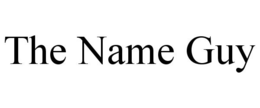 THE NAME GUY - official mark drawing from the USPTO record