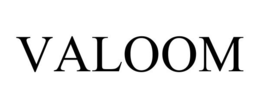 VALOOM - official mark drawing from the USPTO record