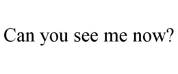 CAN YOU SEE ME NOW? - official mark drawing from the USPTO record