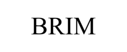 BRIM - official mark drawing from the USPTO record