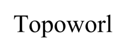 TOPOWORL - official mark drawing from the USPTO record