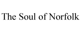 THE SOUL OF NORFOLK - official mark drawing from the USPTO record