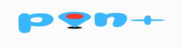 PIN - official mark drawing from the USPTO record